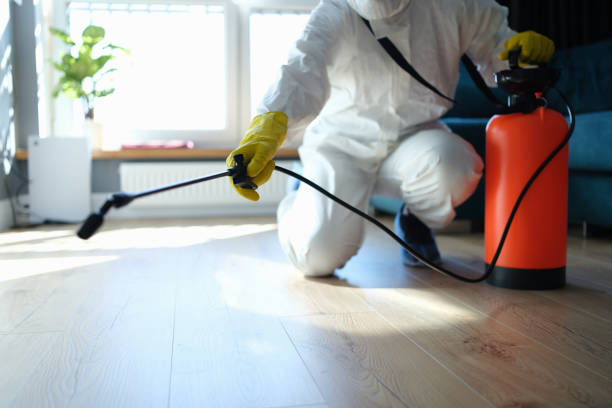 Reliable Odor Removal contractor in Heislerville, NJ by Trauma Clean Pros